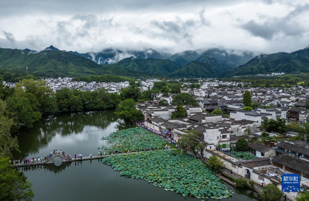 必发365